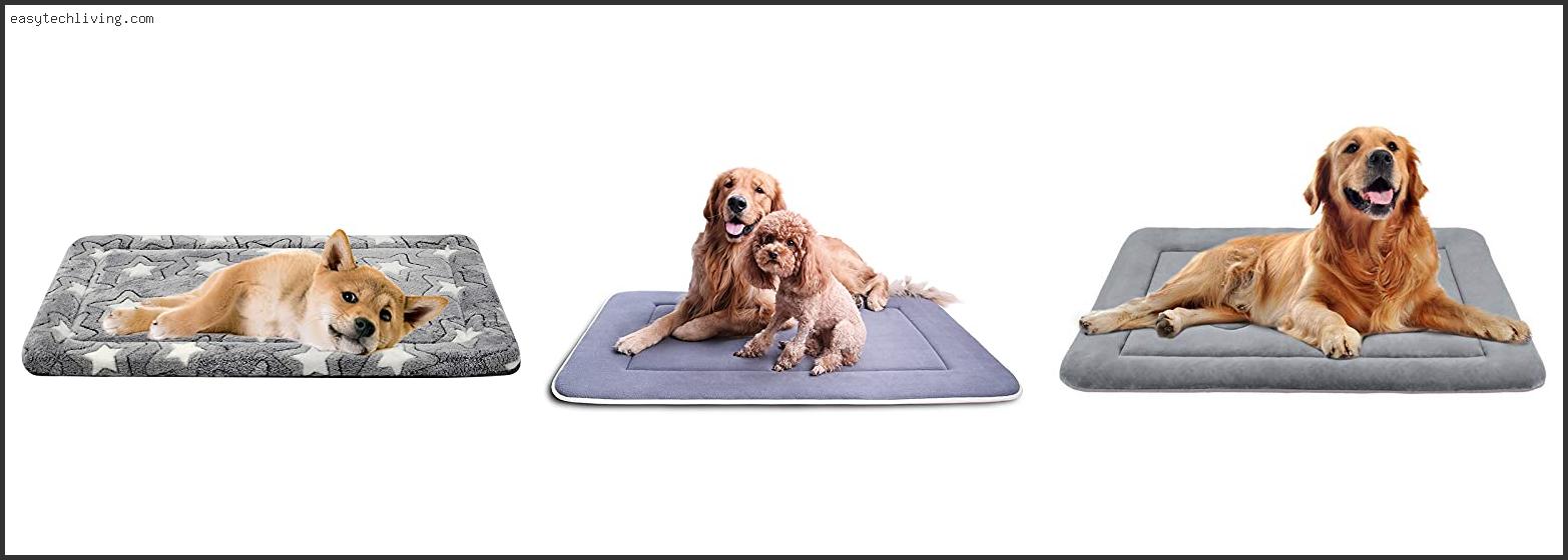Top 10 Best Bedding For Dog Kennel With Expert Recommendation