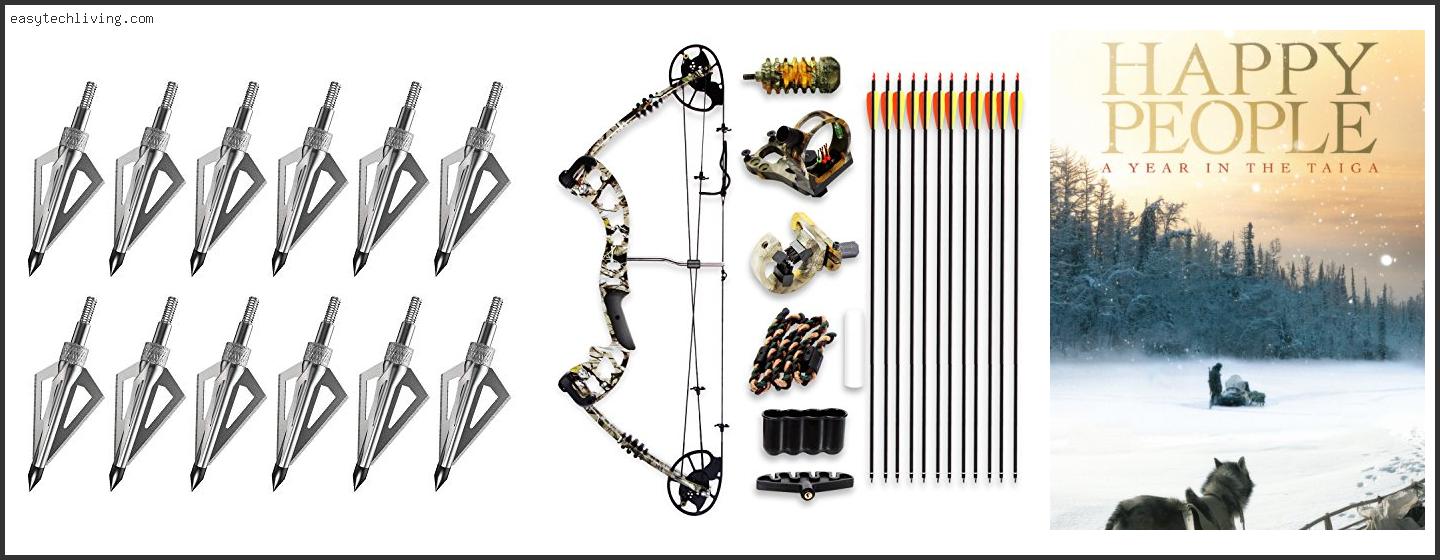 Top 10 Best Rated Compound Bow Reviews With Scores