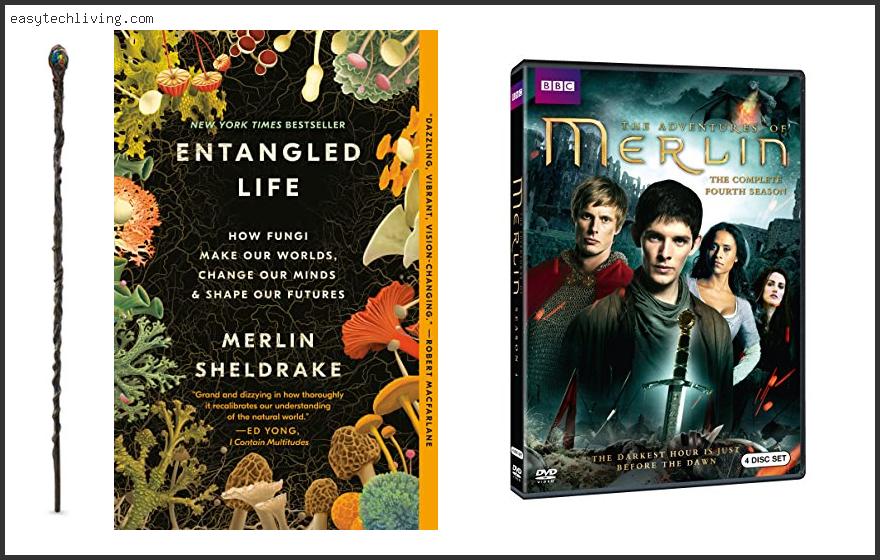 Top 10 Best Books About Merlin Reviews With Scores