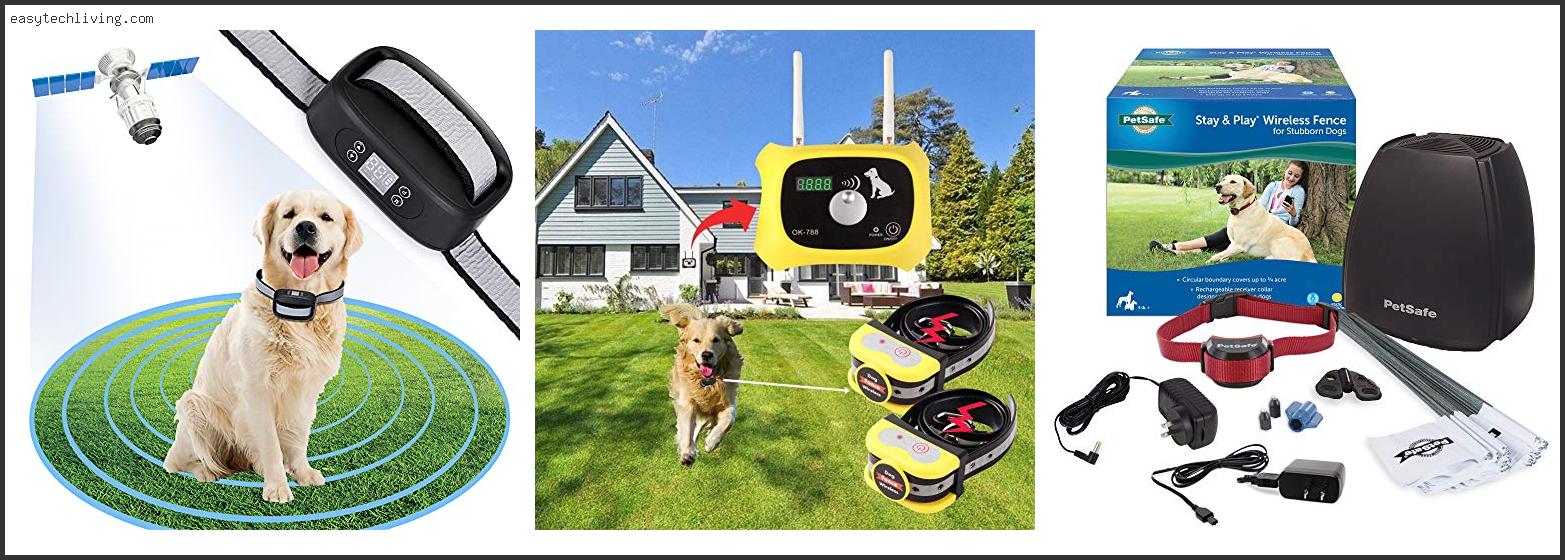 Top 10 Best Electric Dog Fence Wireless With Buying Guide
