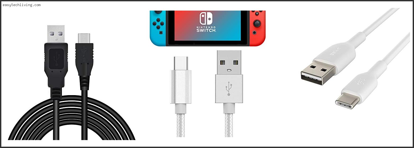 Best Usb A To Usb C Cable For Nintendo Switch