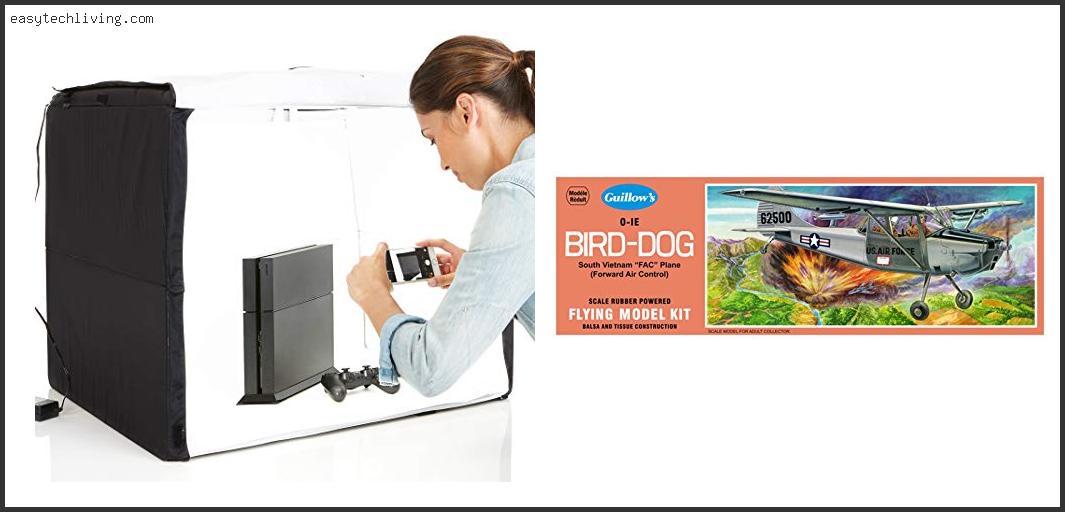 Top 10 Best Bird Dog For Beginners Based On Customer Ratings