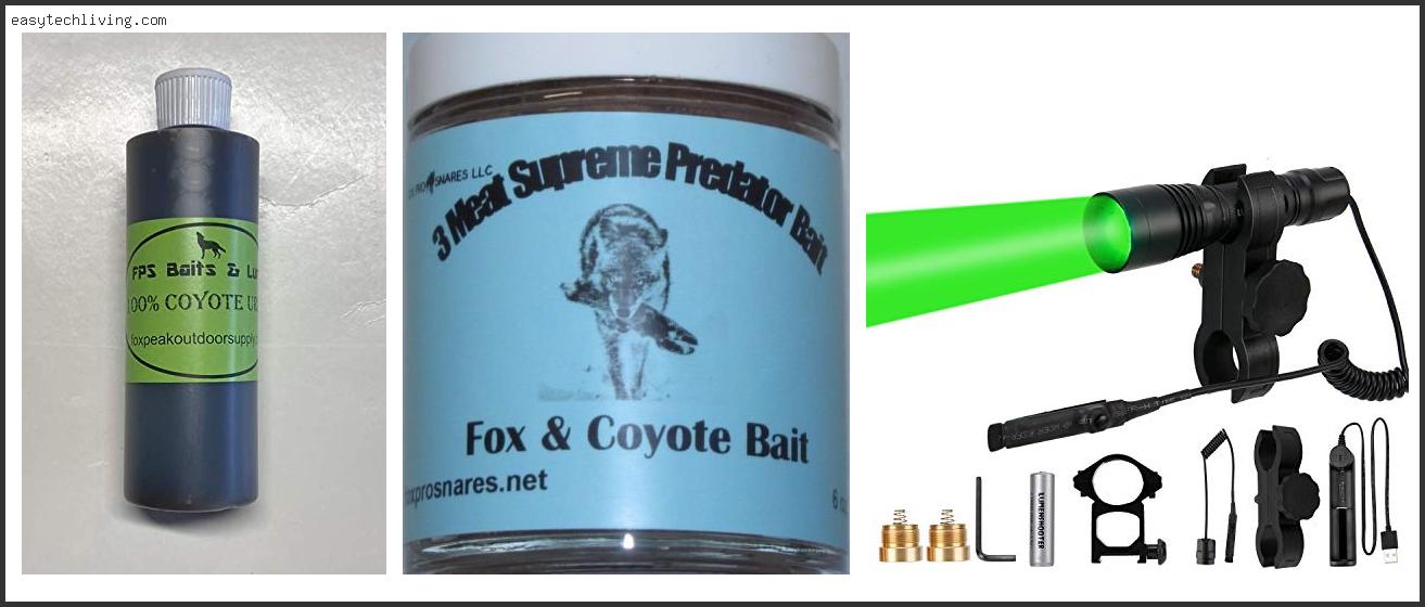 Best Rimfire For Coyotes