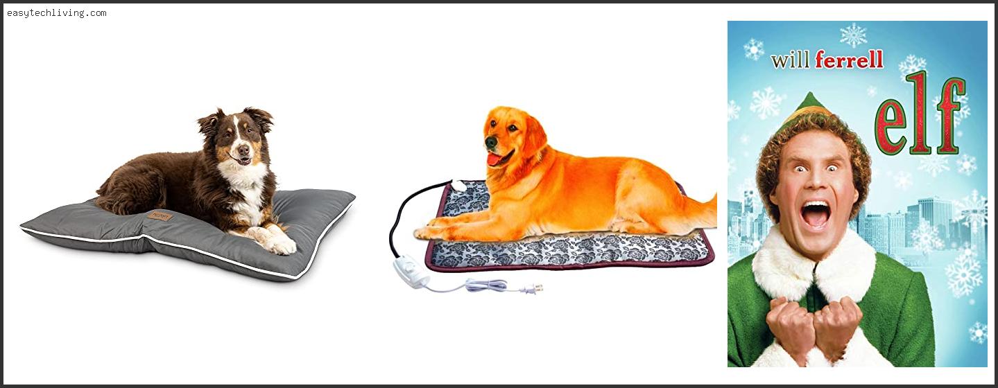 Best Bedding For Outdoor Dogs