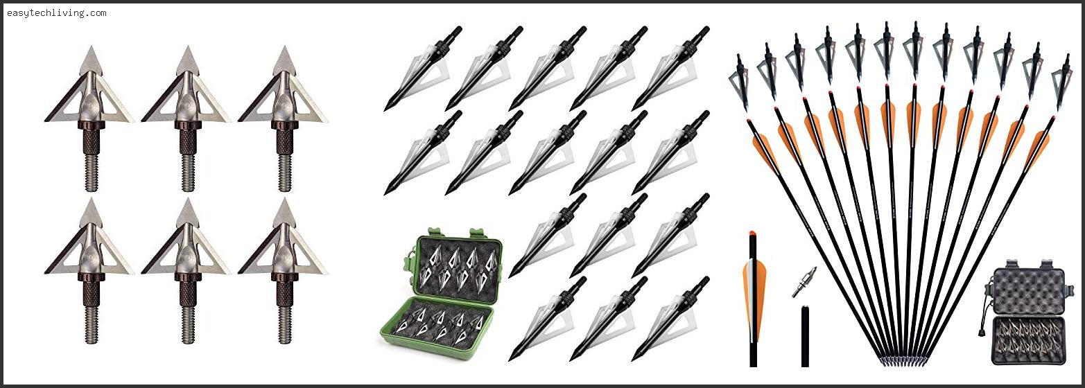 Top 10 Best Broadheads For Bear Reviews With Scores