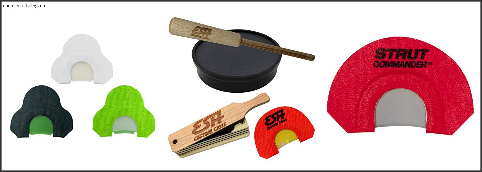 Best Mouth Turkey Call For Beginners