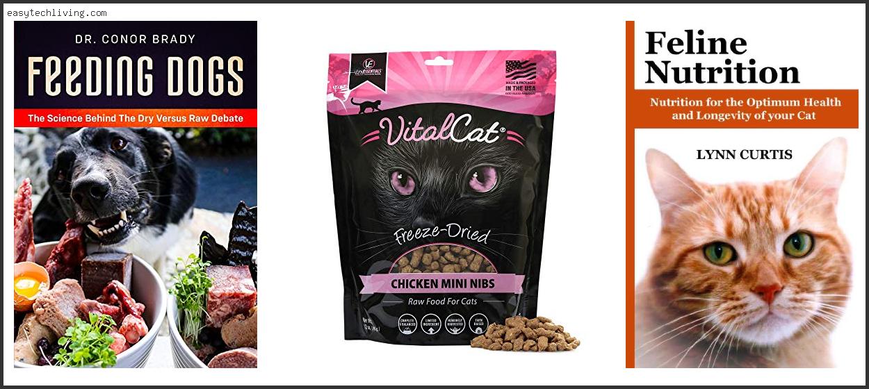 Best Commercial Raw Cat Food