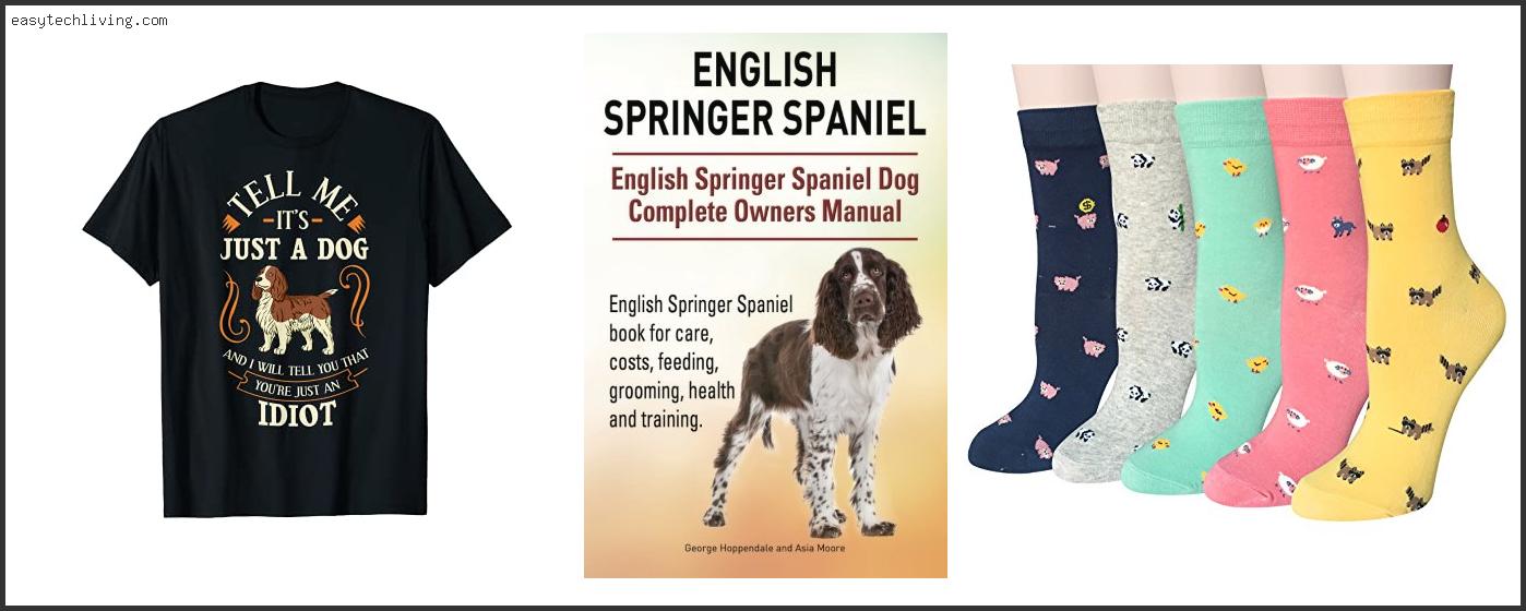 Top 10 Best English Springer Spaniel Breeders Reviews With Scores